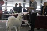 RCACS Femelle Bordeaux 2016